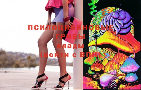 стафф Армянск