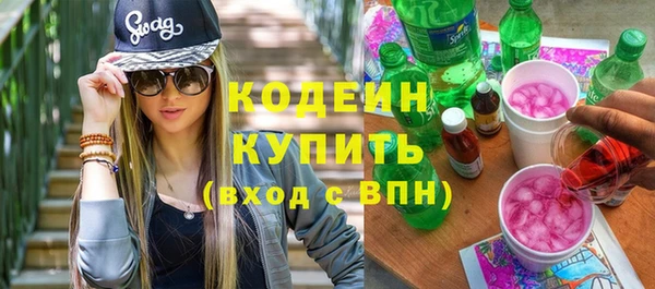 индика Протвино